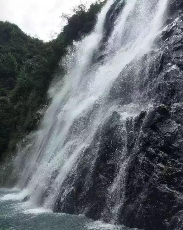 一场赛事带火一座城！山东男排主场赛事全记录